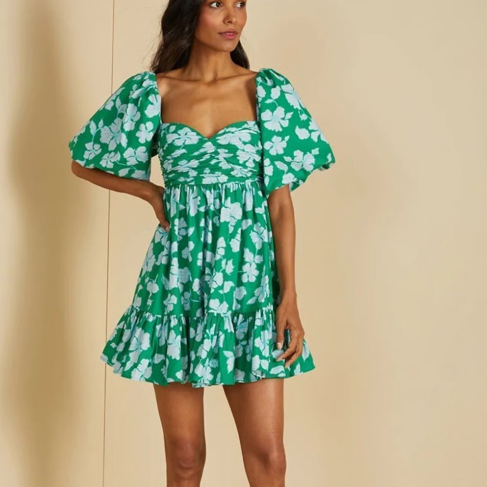 AMUR Martine Mini Dress, Green/White Floral, Size 10, NWT